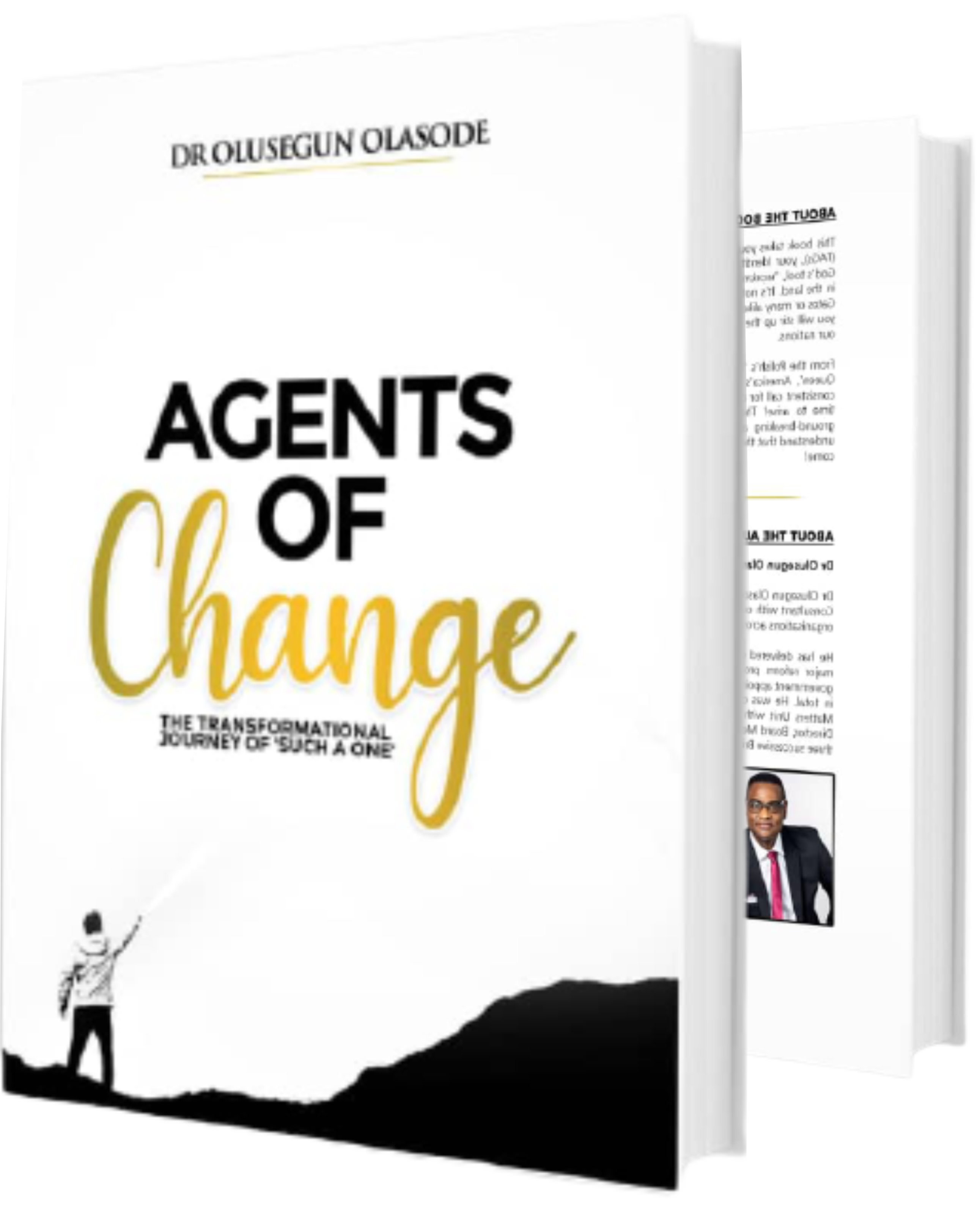 Dr. Olu Olasode - the author Change and Transformational Leadership